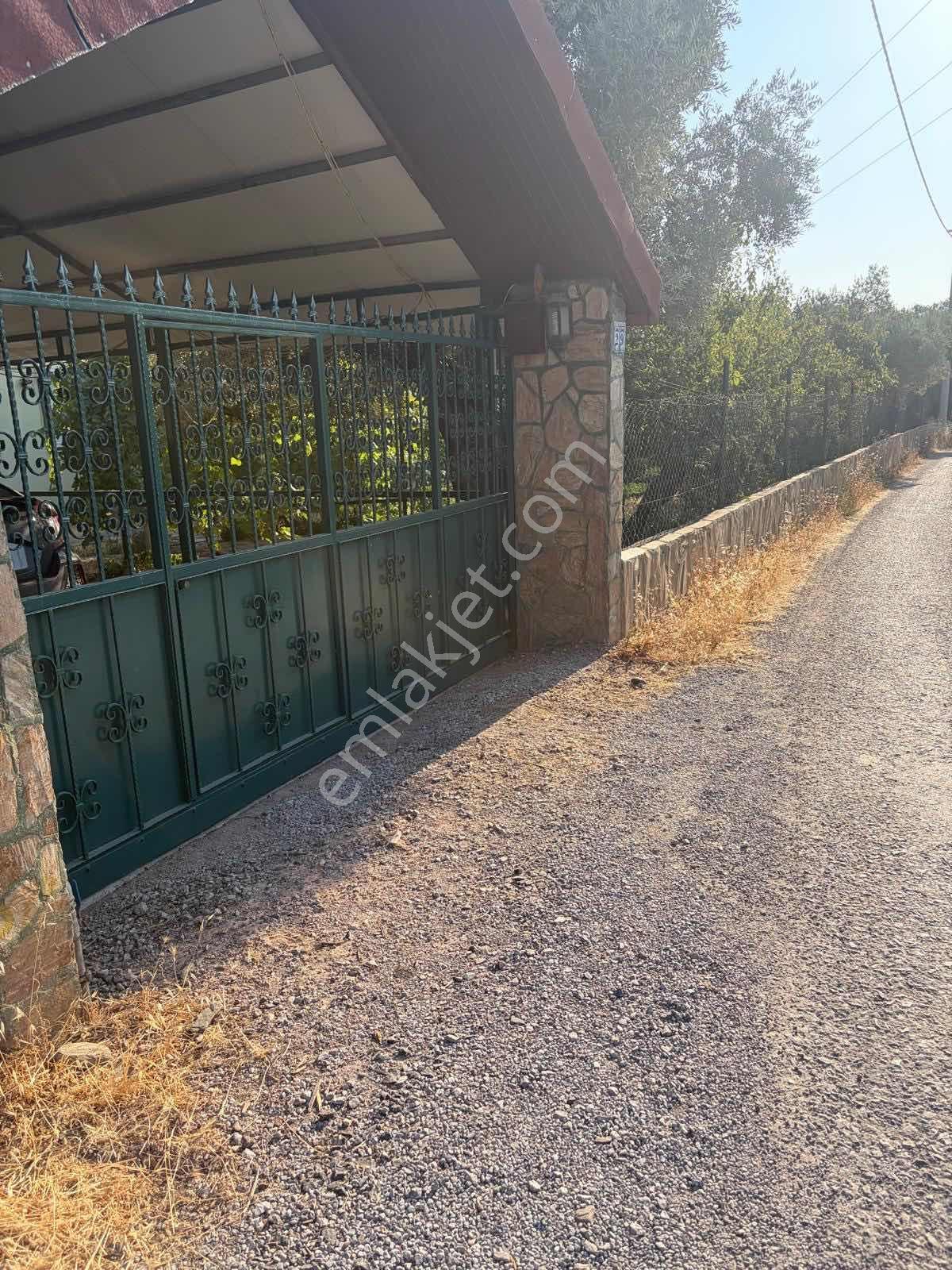 Kemalpaşa Yiğitler 3dönüm İçersinde 3katlı Ev+müştemilat — fotoğraf 37