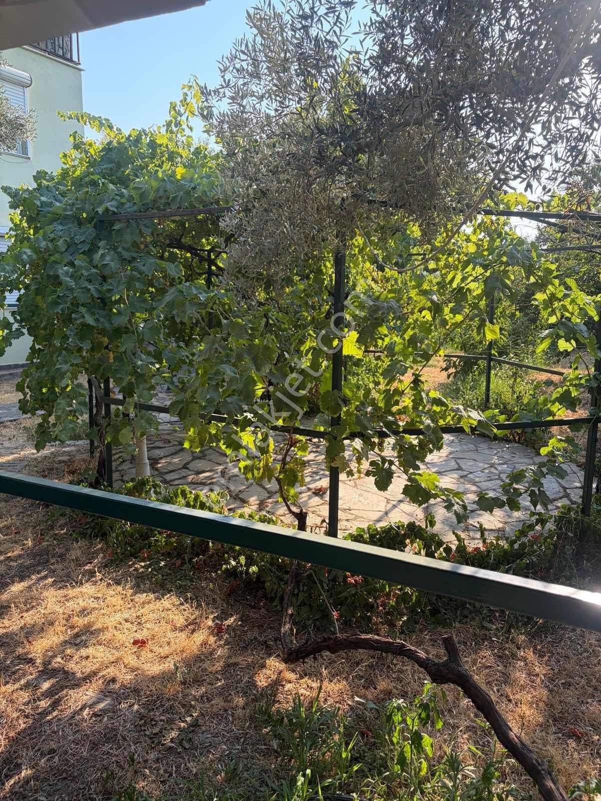 Kemalpaşa Yiğitler 3dönüm İçersinde 3katlı Ev+müştemilat — fotoğraf 38