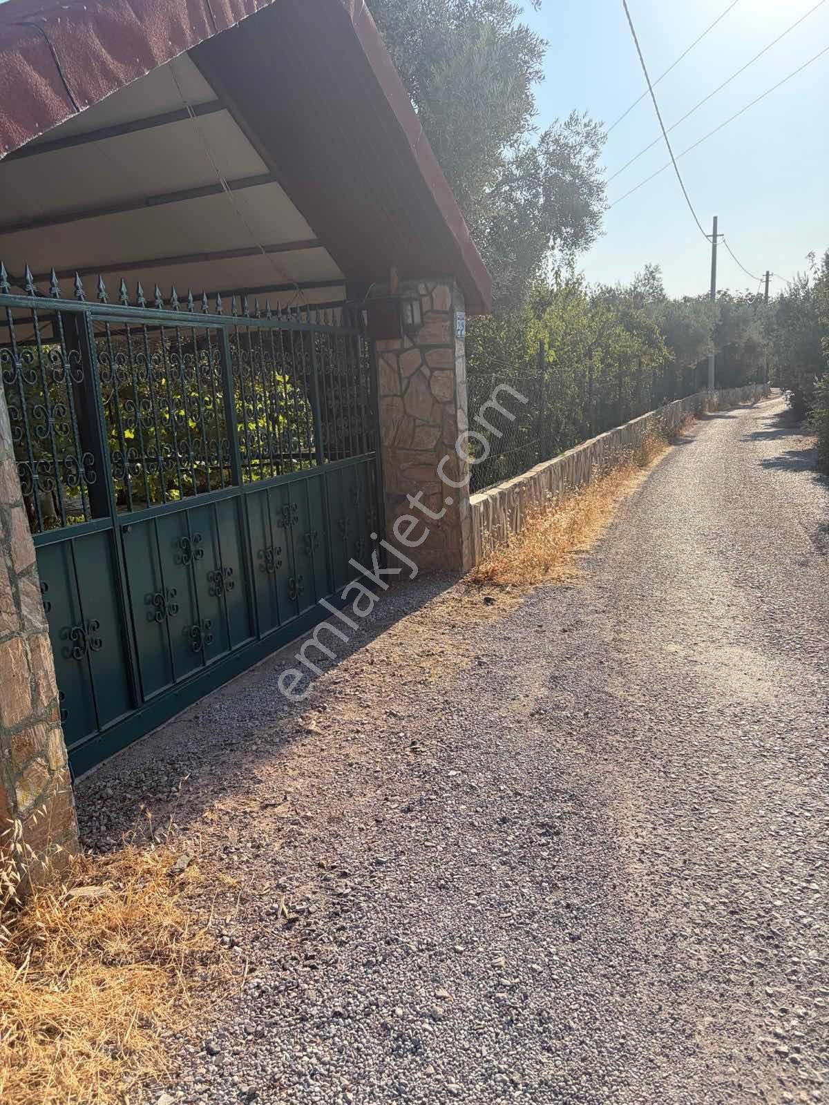 Kemalpaşa Yiğitler 3dönüm İçersinde 3katlı Ev+müştemilat — fotoğraf 39