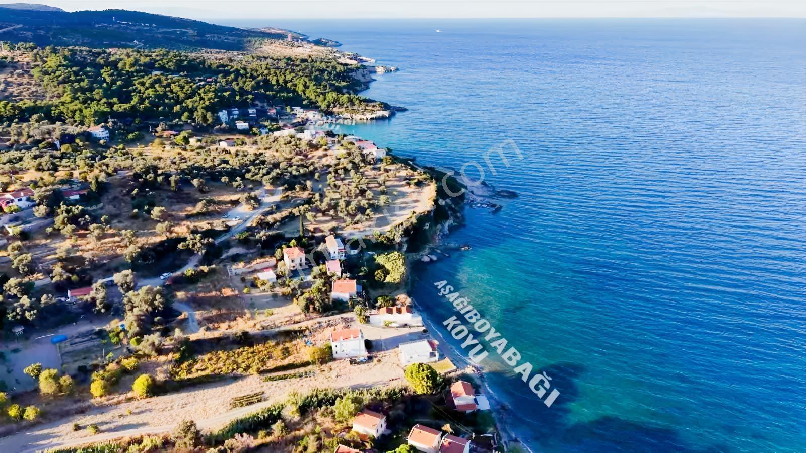 Karaburun Boyabağ Koyunda Denize Sıfır 2 Adet Özel Mülk — fotoğraf 9