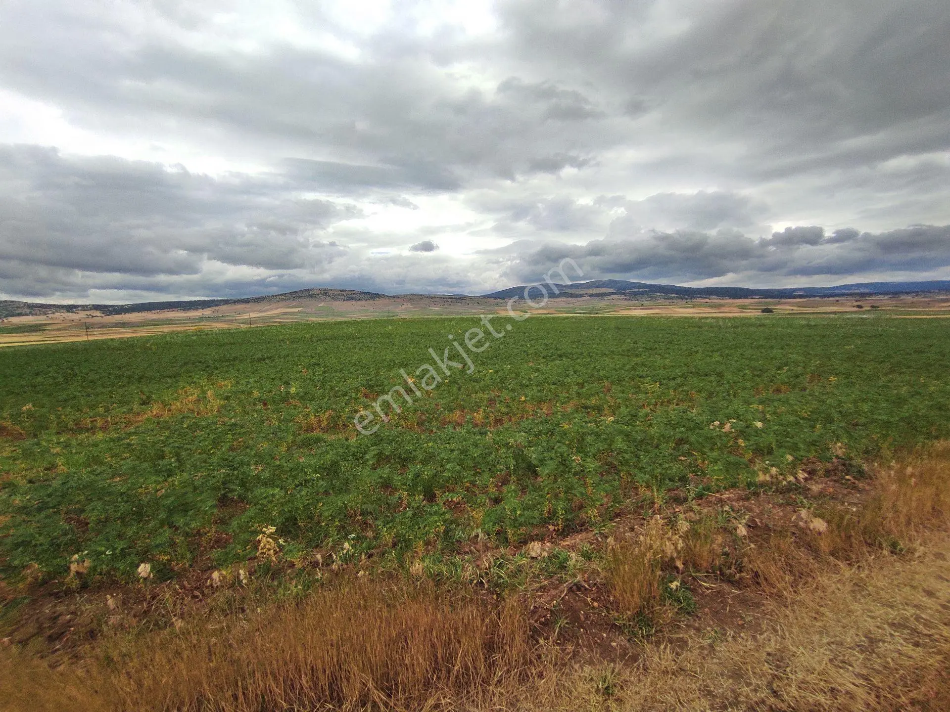 Kütahya Merkez Kızılcaören'de Köye Yakın 6759,m2-tarla — fotoğraf 9