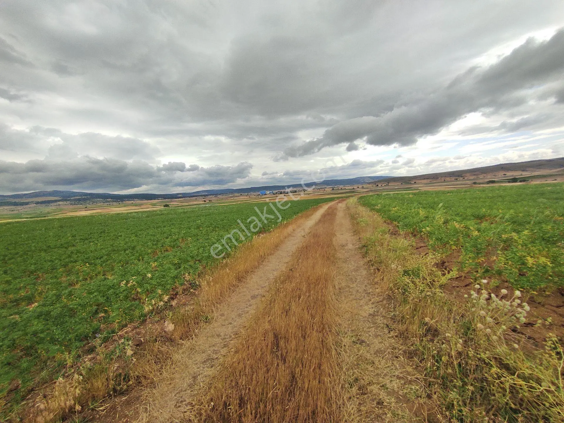 Kütahya Merkez Kızılcaören'de Köye Yakın 6759,m2-tarla — fotoğraf 17