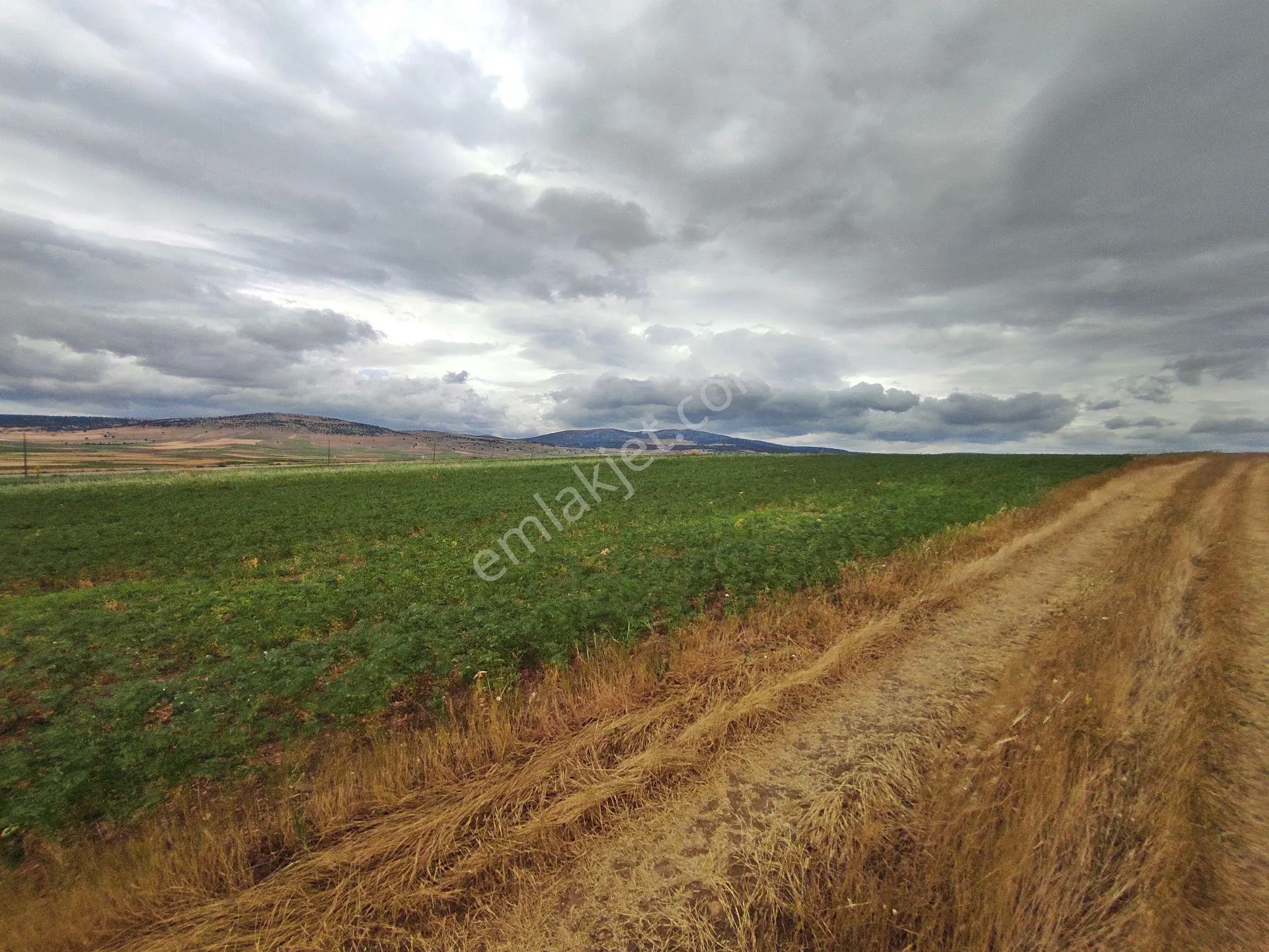 Kütahya Merkez Kızılcaören'de Köye Yakın 6759,m2-tarla — fotoğraf 19