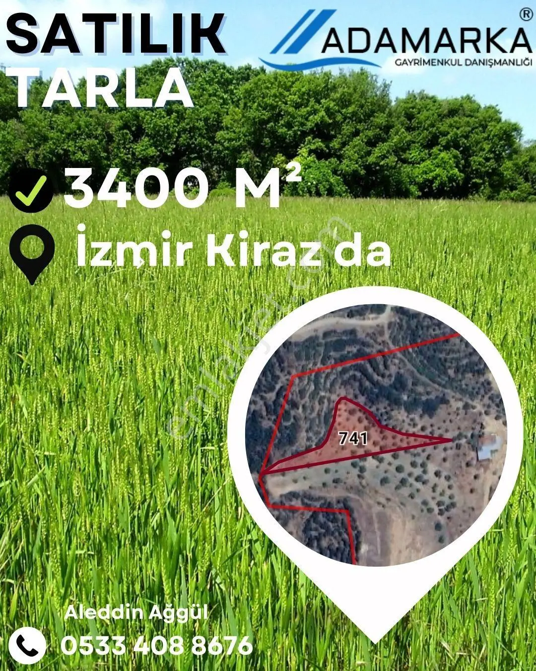 İzmir Kiraz Mh. 3.400 M2 Zeytinlik