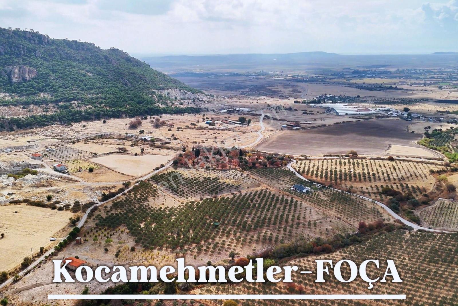 Foça Kocamehmetler'de 197 Mt Yol Cepheli Verimli Zeytinlik — fotoğraf 11