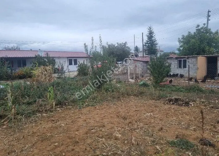 Wisrem Den Banaz Bağkonakta İçerisinde 80 M2 Prefabrik Ev Bulunan Satılık Çiftlik — fotoğraf 4
