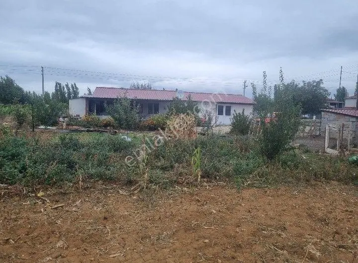 Wisrem Den Banaz Bağkonakta İçerisinde 80 M2 Prefabrik Ev Bulunan Satılık Çiftlik — fotoğraf 5