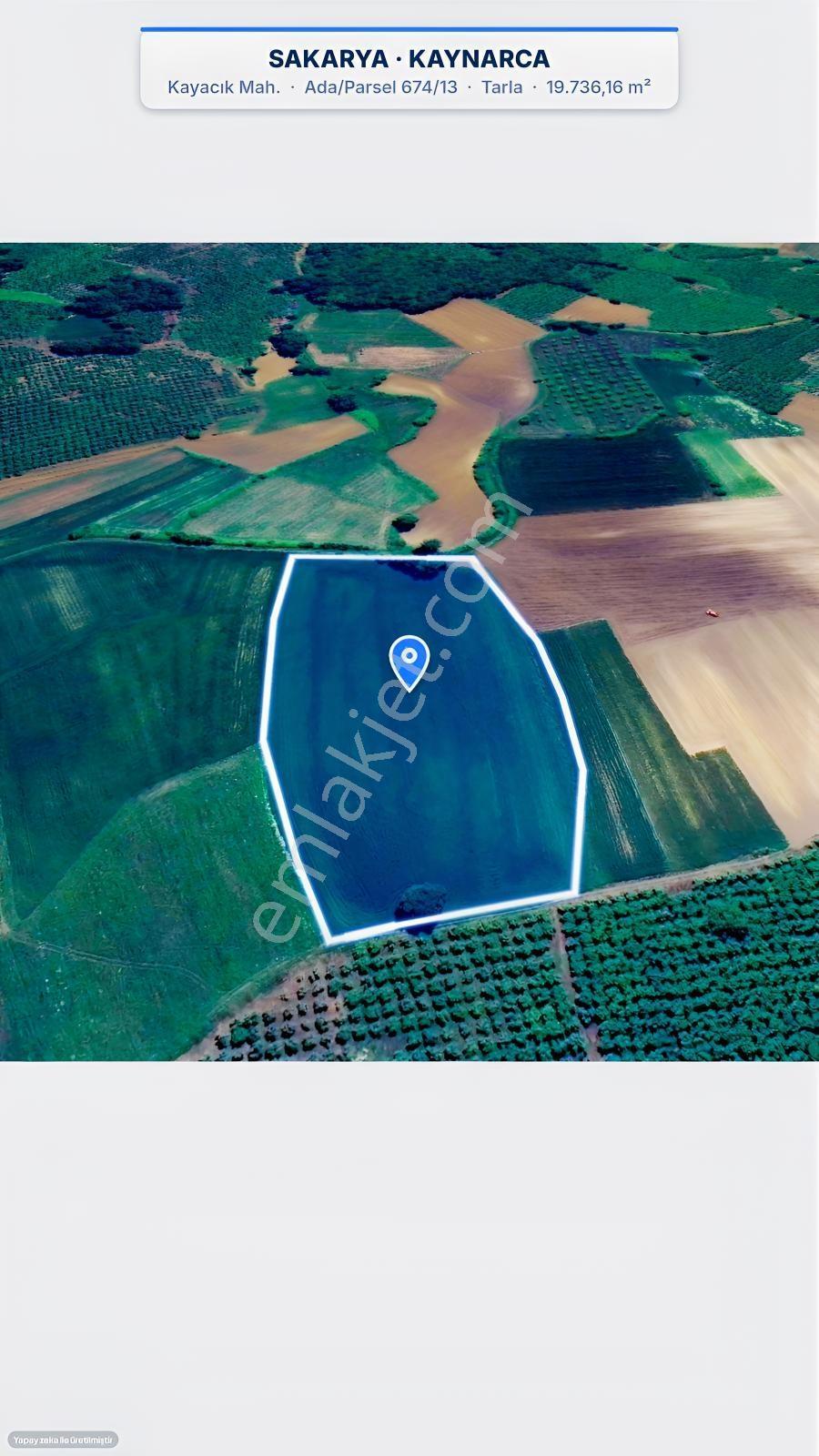 Seda Terzioğlundan Kaynarca Kayacıkta 19.736 M² Yatırımlık Tarla