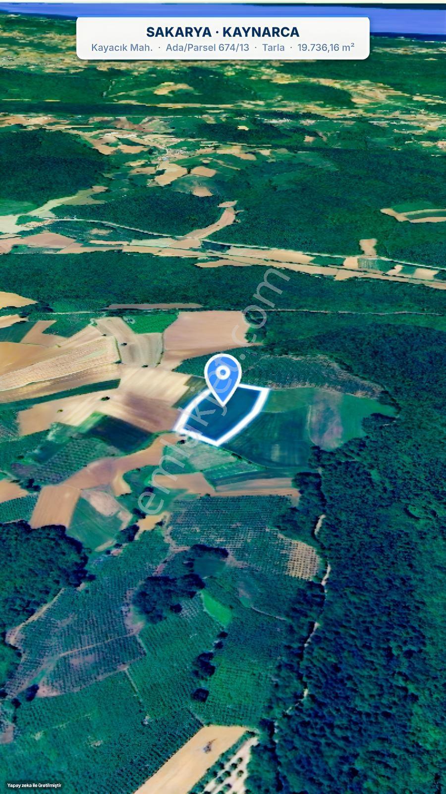 Seda Terzioğlundan Kaynarca Kayacıkta 19.736 M² Yatırımlık Tarla — fotoğraf 3