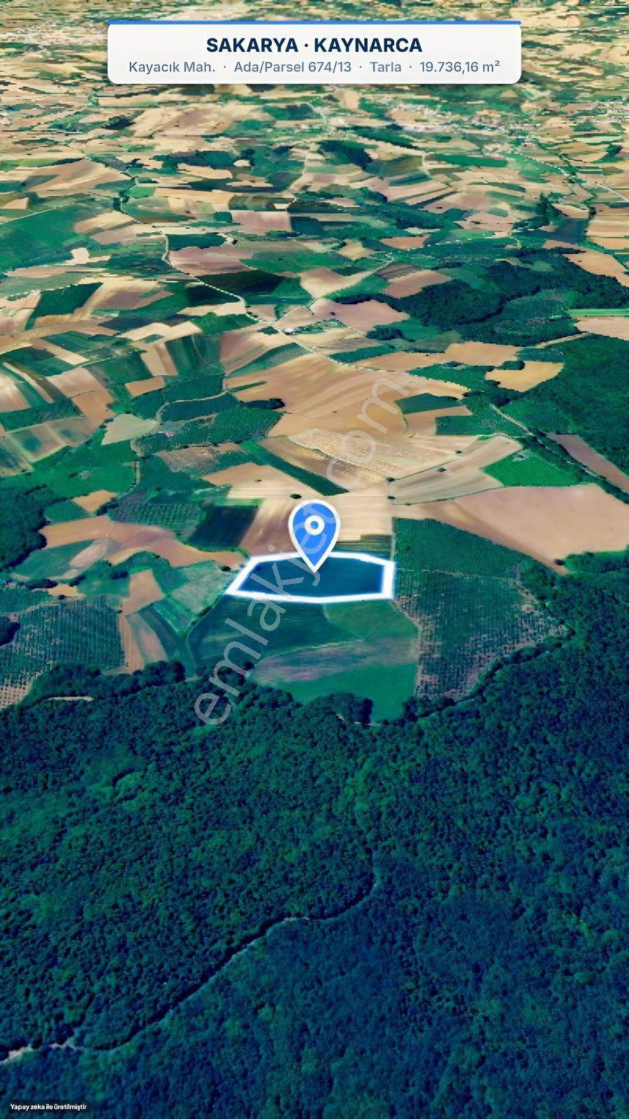 Seda Terzioğlundan Kaynarca Kayacıkta 19.736 M² Yatırımlık Tarla — fotoğraf 6