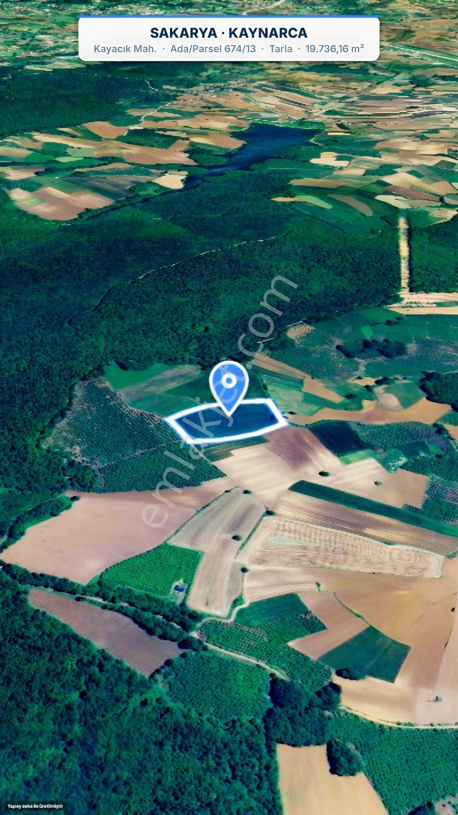 Seda Terzioğlundan Kaynarca Kayacıkta 19.736 M² Yatırımlık Tarla — fotoğraf 7