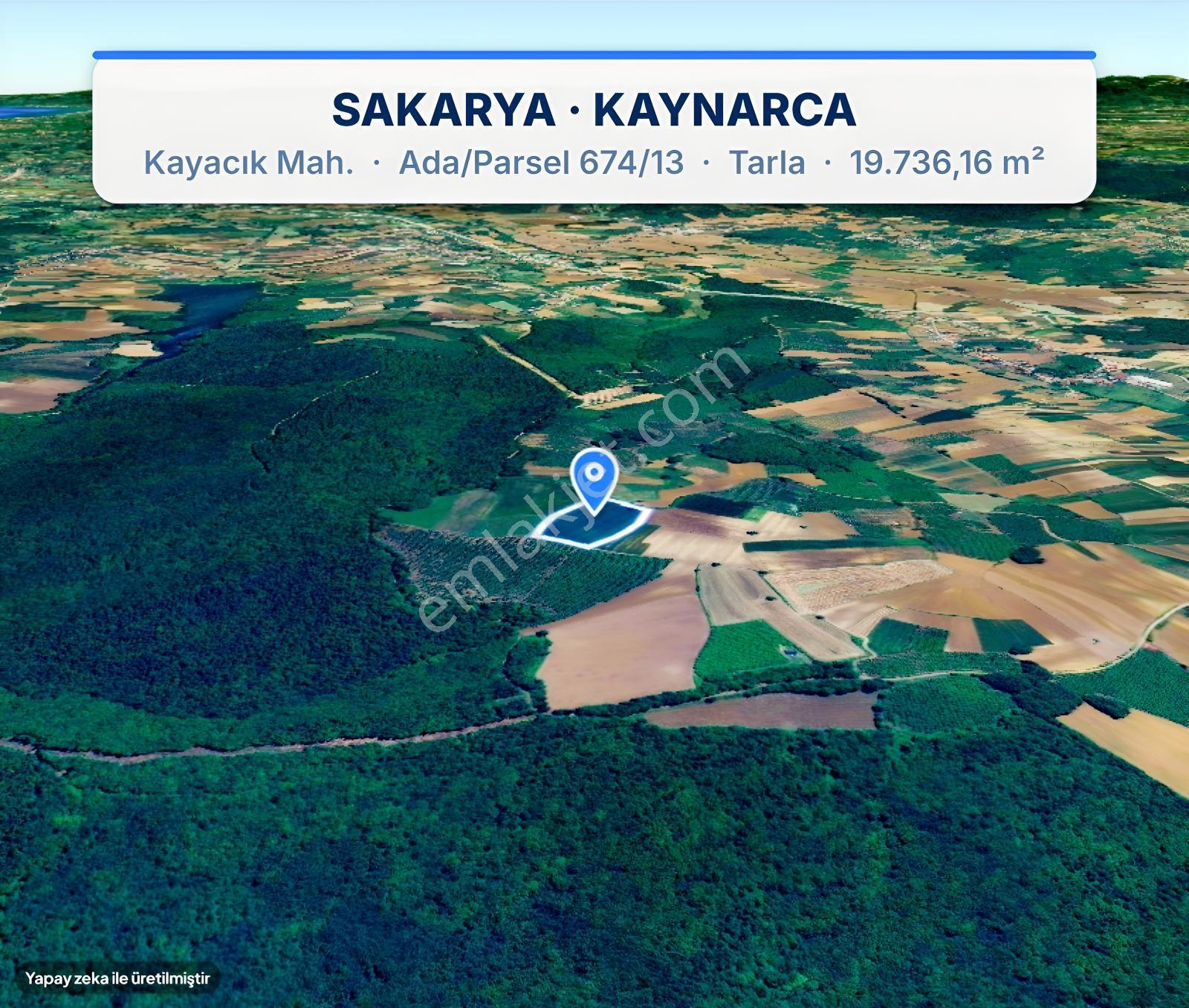 Seda Terzioğlundan Kaynarca Kayacıkta 19.736 M² Yatırımlık Tarla — fotoğraf 8