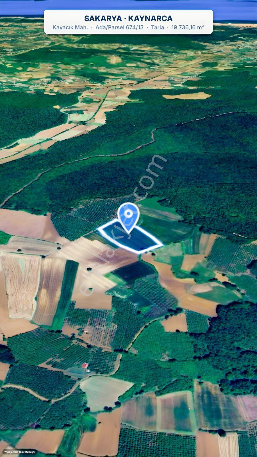 Seda Terzioğlundan Kaynarca Kayacıkta 19.736 M² Yatırımlık Tarla — fotoğraf 9