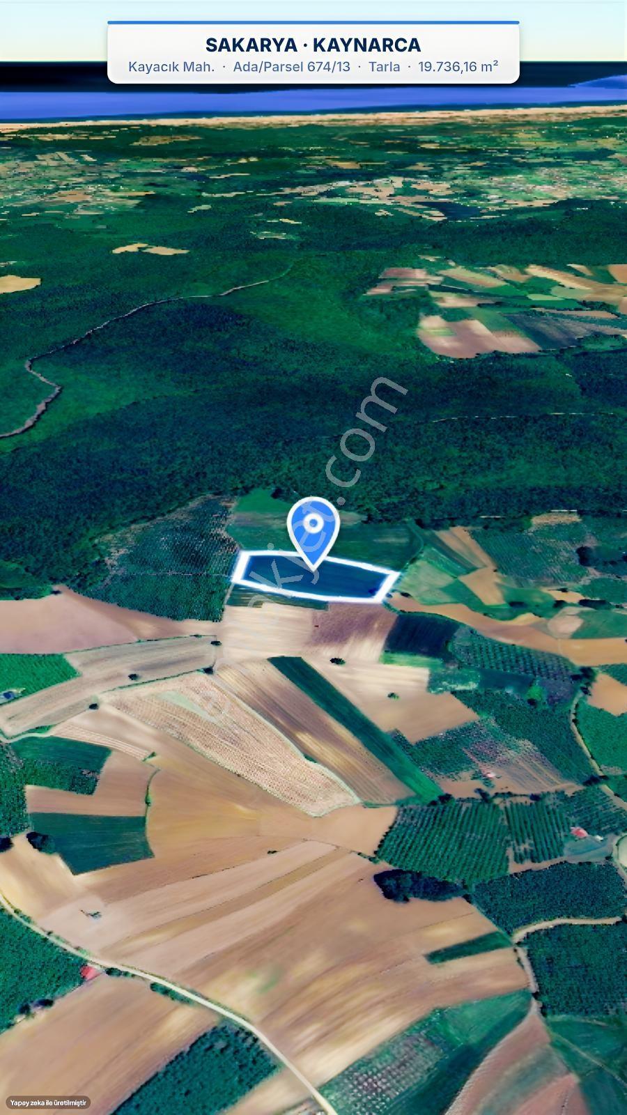 Seda Terzioğlundan Kaynarca Kayacıkta 19.736 M² Yatırımlık Tarla — fotoğraf 10