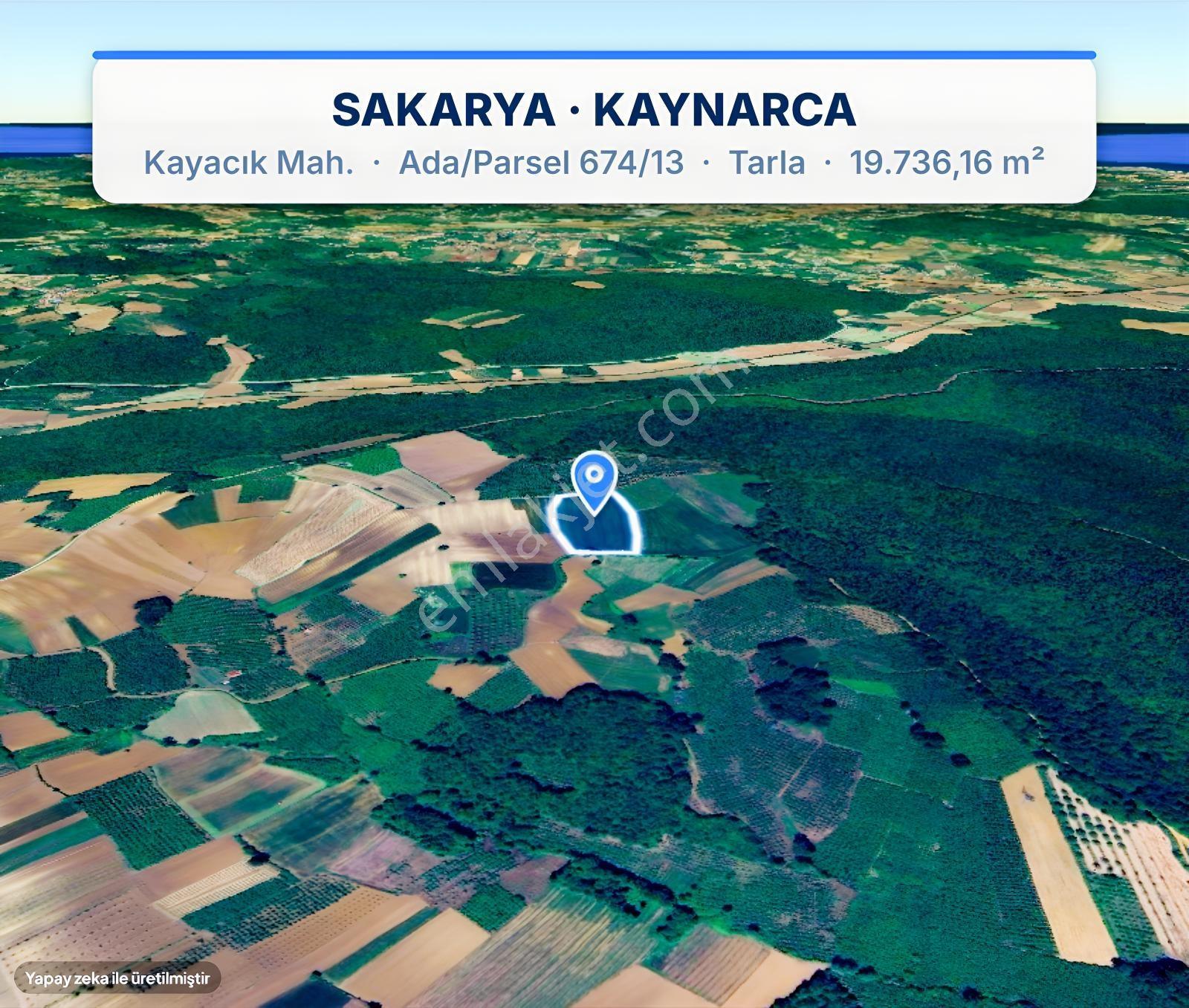 Seda Terzioğlundan Kaynarca Kayacıkta 19.736 M² Yatırımlık Tarla — fotoğraf 11
