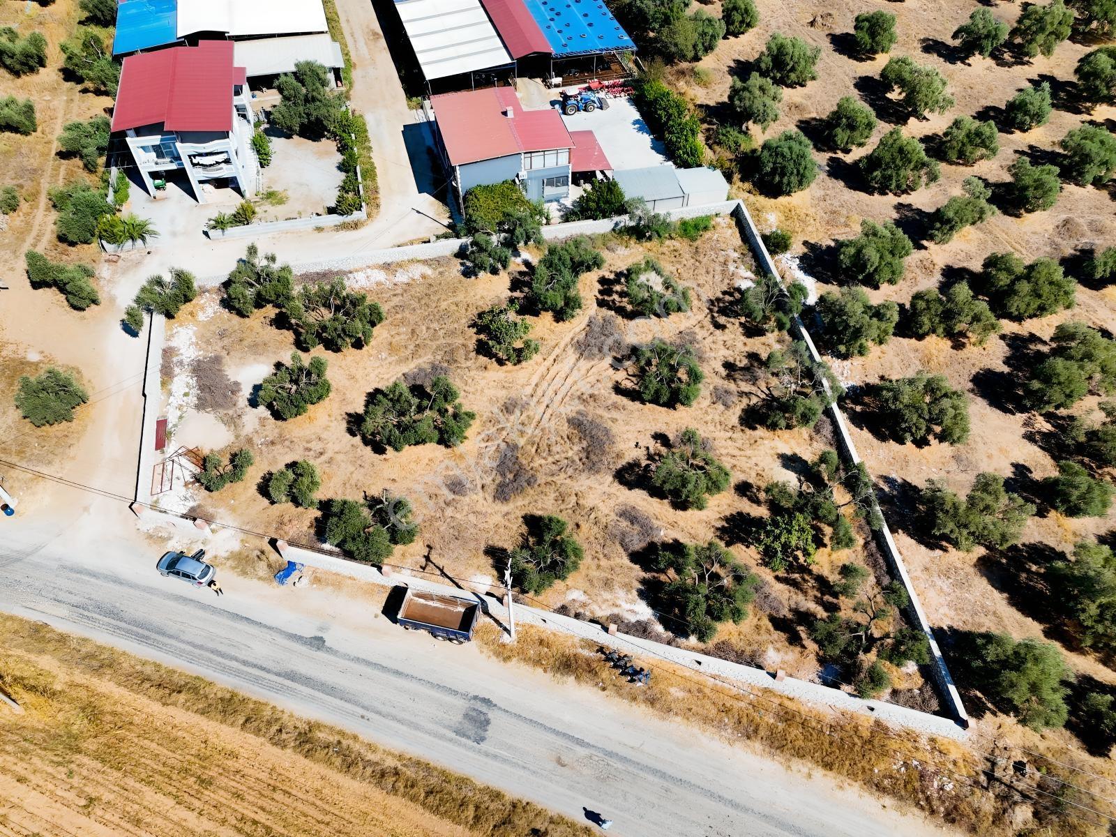 Köy İçinde Fırsat Yatırımlık! Elektrik-su Yanında 2.413m2 Arazi — fotoğraf 14