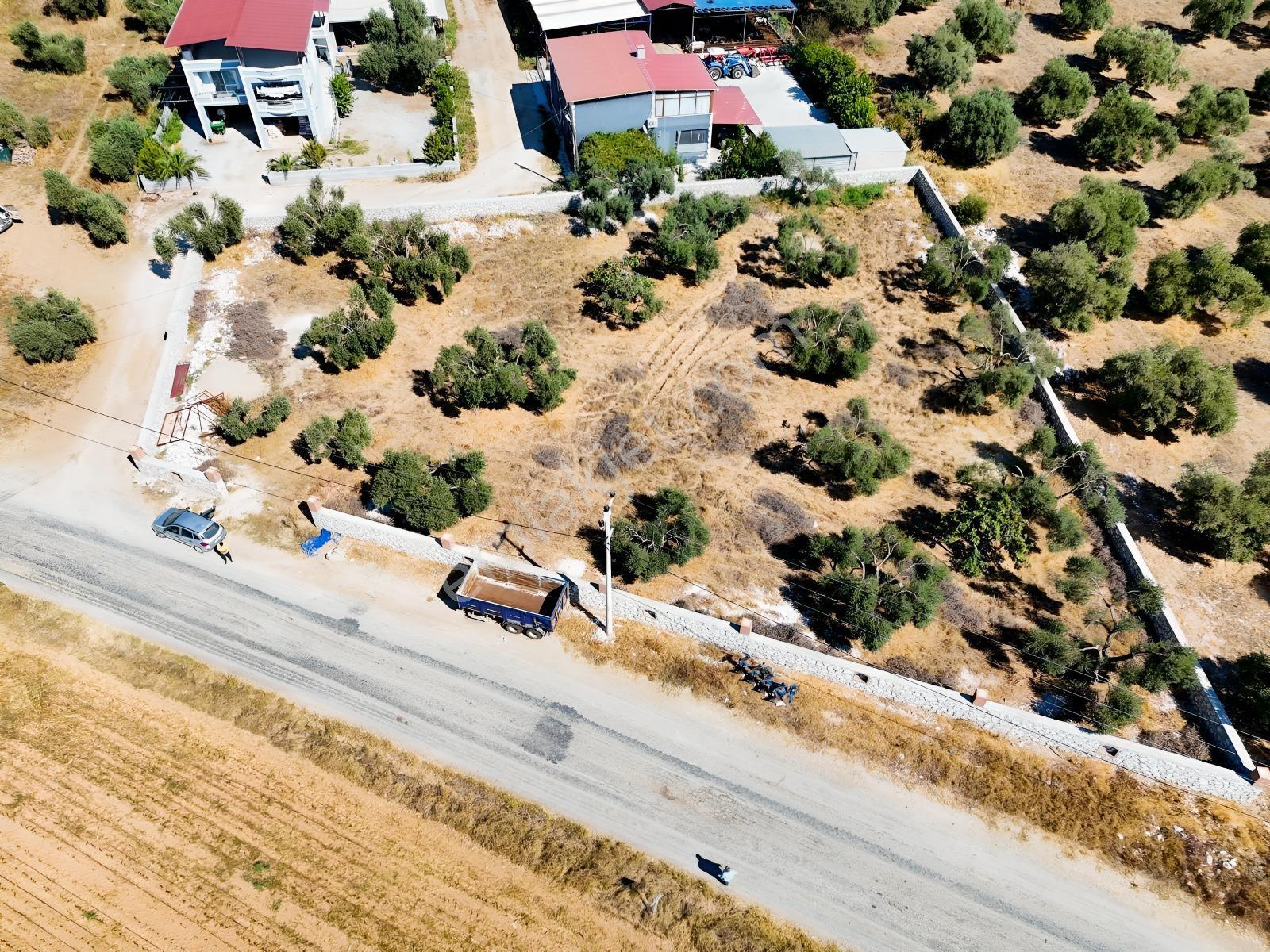 Köy İçinde Fırsat Yatırımlık! Elektrik-su Yanında 2.413m2 Arazi — fotoğraf 15