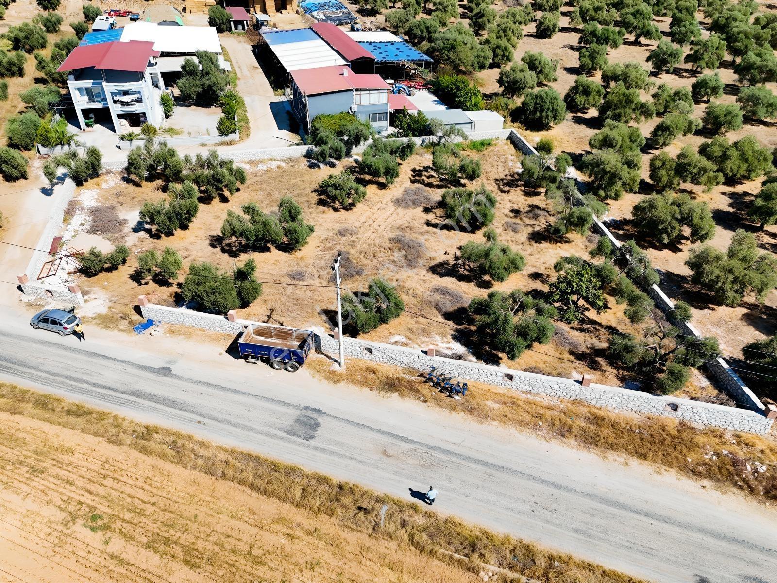 Köy İçinde Fırsat Yatırımlık! Elektrik-su Yanında 2.413m2 Arazi — fotoğraf 17