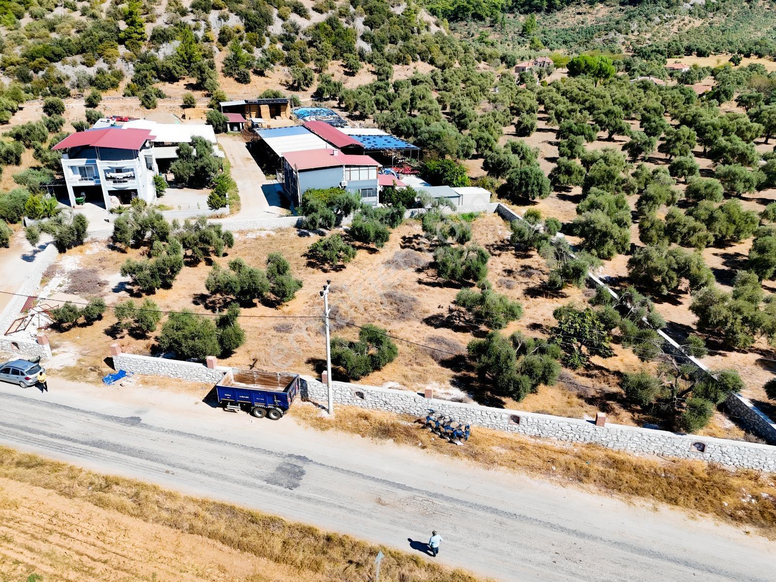 Köy İçinde Fırsat Yatırımlık! Elektrik-su Yanında 2.413m2 Arazi — fotoğraf 18