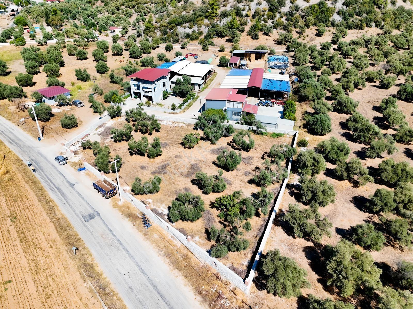 Köy İçinde Fırsat Yatırımlık! Elektrik-su Yanında 2.413m2 Arazi — fotoğraf 23