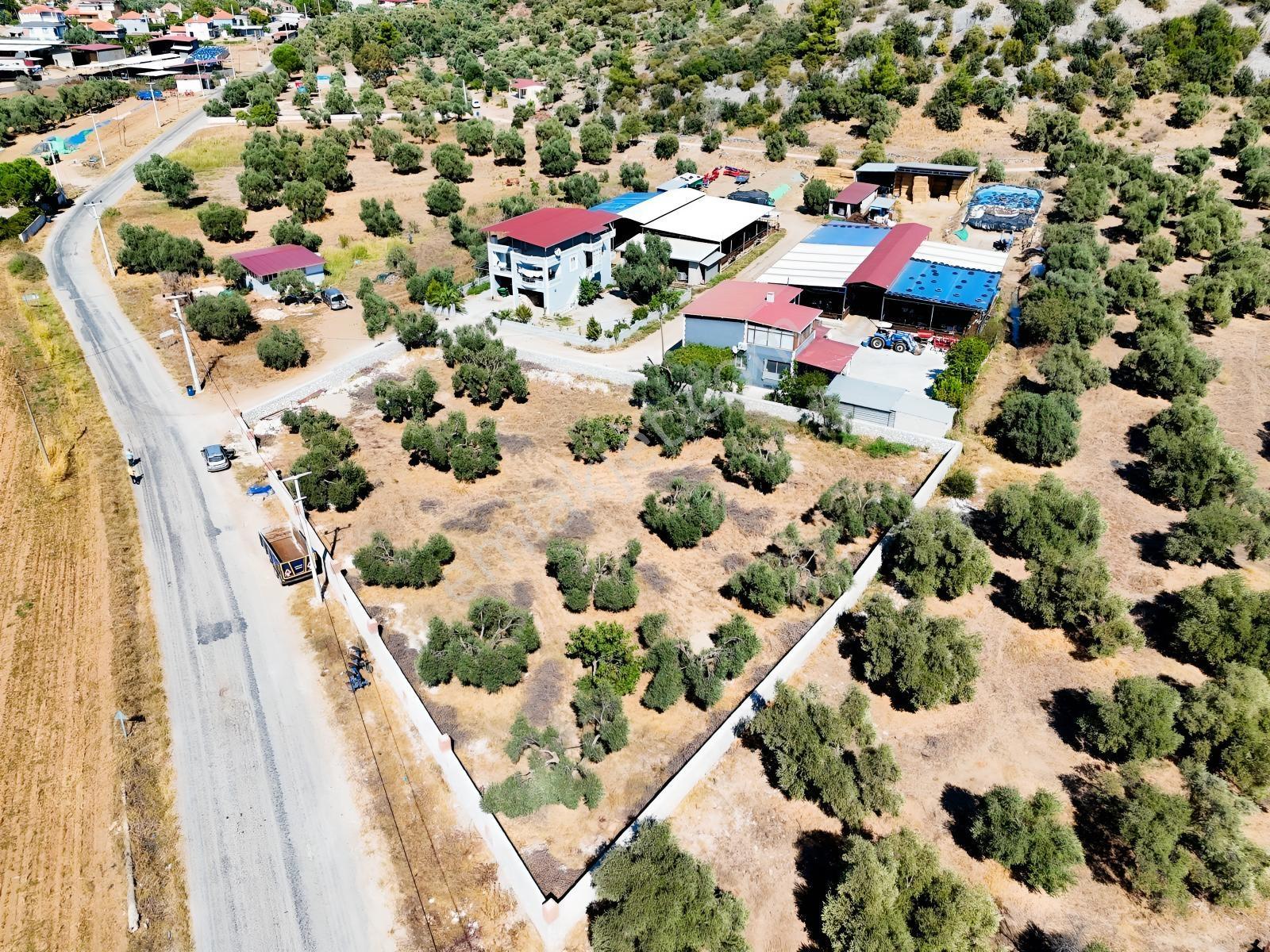 Köy İçinde Fırsat Yatırımlık! Elektrik-su Yanında 2.413m2 Arazi — fotoğraf 24