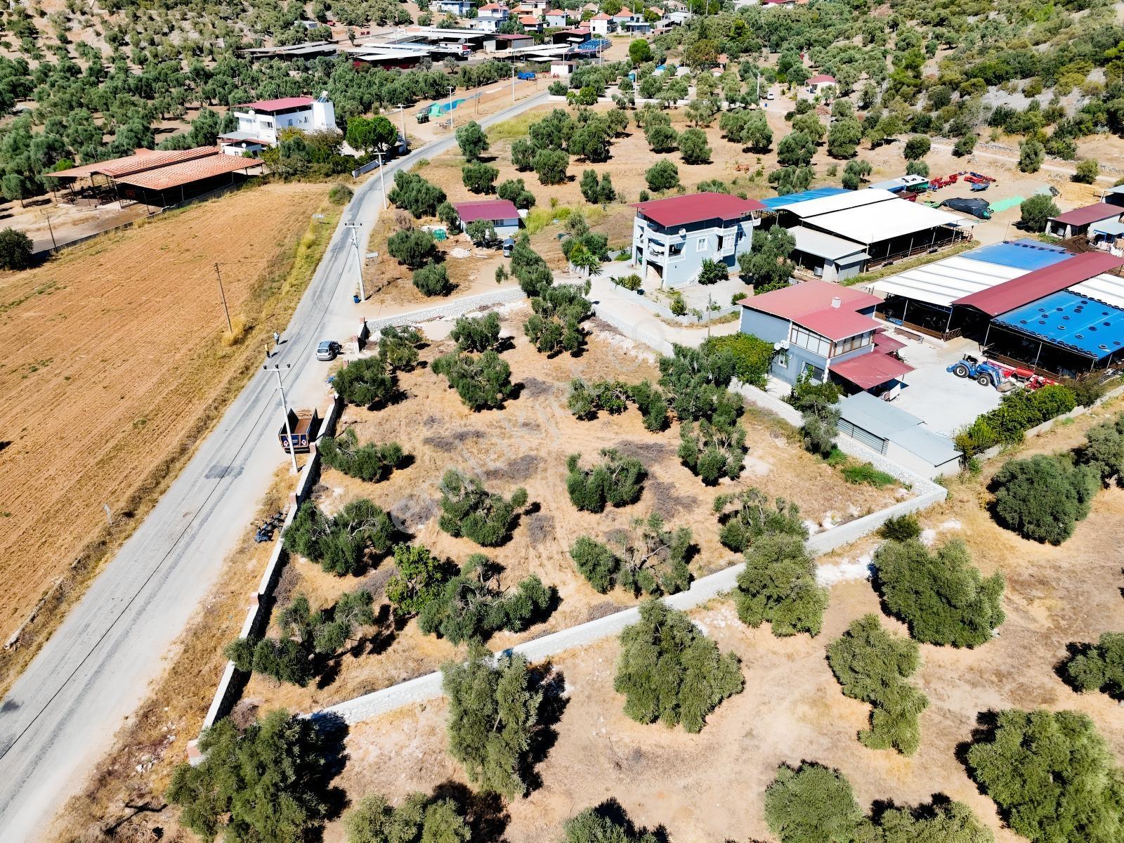 Köy İçinde Fırsat Yatırımlık! Elektrik-su Yanında 2.413m2 Arazi — fotoğraf 26
