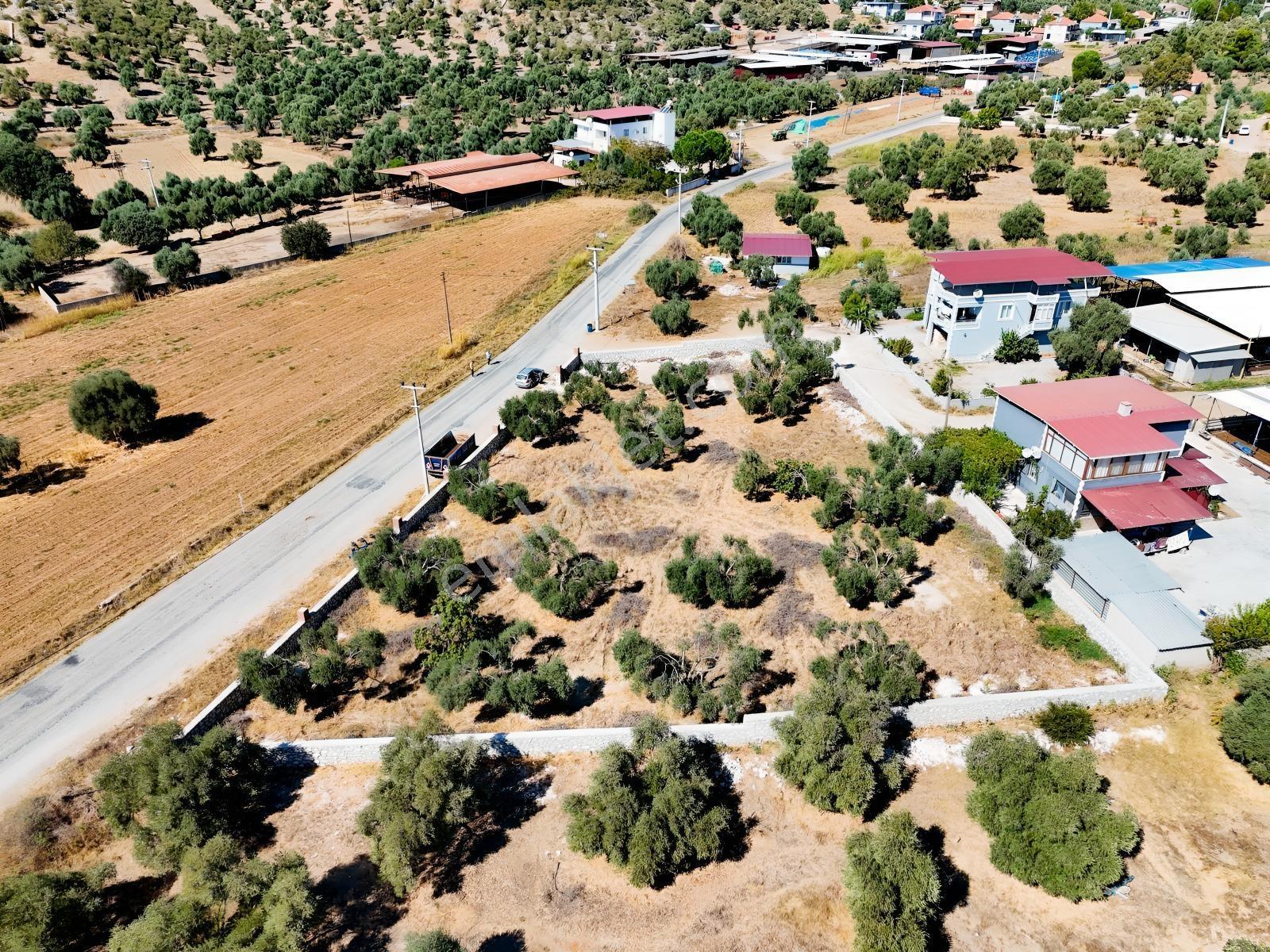 Köy İçinde Fırsat Yatırımlık! Elektrik-su Yanında 2.413m2 Arazi — fotoğraf 27