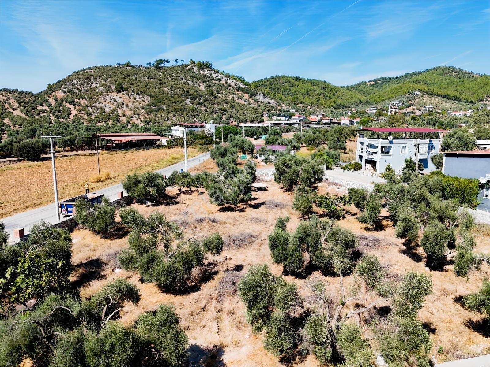Köy İçinde Fırsat Yatırımlık! Elektrik-su Yanında 2.413m2 Arazi — fotoğraf 32