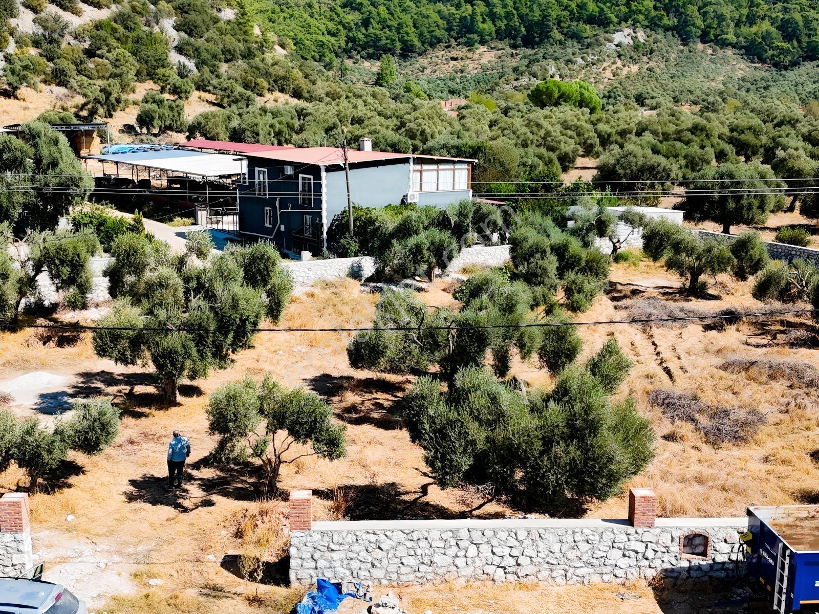 Köy İçinde Fırsat Yatırımlık! Elektrik-su Yanında 2.413m2 Arazi — fotoğraf 34