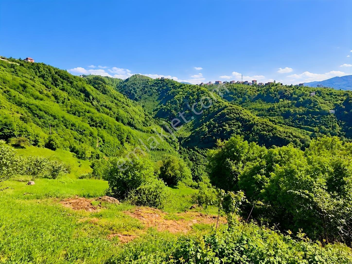 Gw Nova'dan Trabzon Bulak Mahallesinde Yatırım Fırsatı — fotoğraf 2