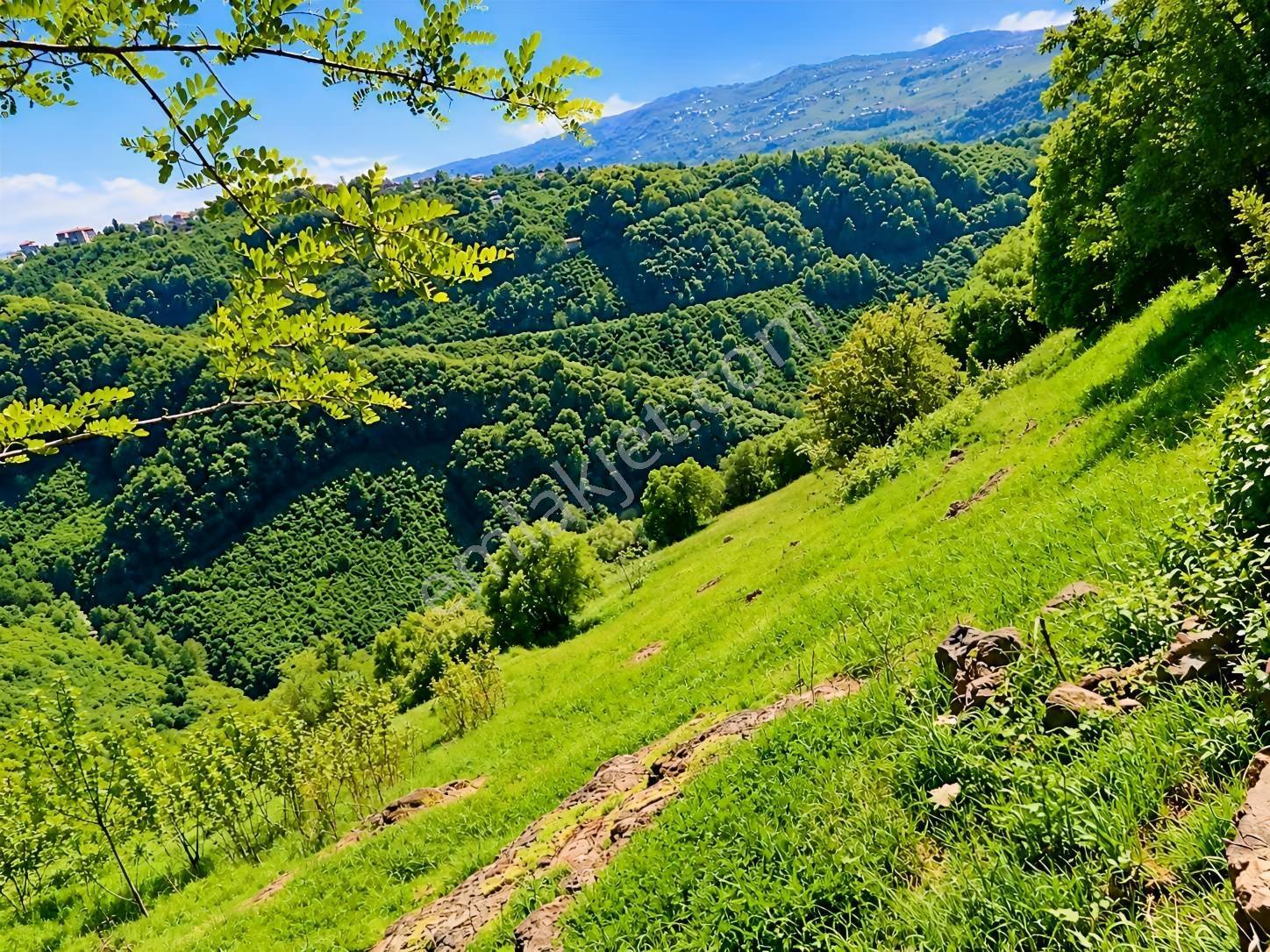 Gw Nova'dan Trabzon Bulak Mahallesinde Yatırım Fırsatı — fotoğraf 3
