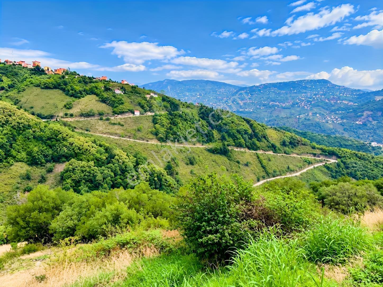 Gw Nova'dan Trabzon Bulak Mahallesinde Yatırım Fırsatı — fotoğraf 4