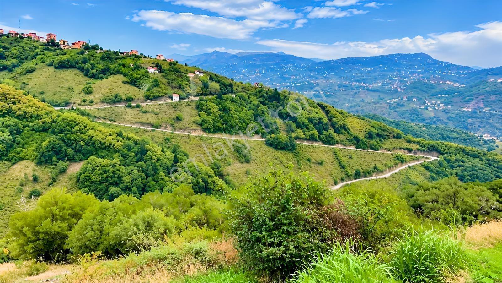 Gw Nova'dan Trabzon Bulak Mahallesinde Yatırım Fırsatı — fotoğraf 5