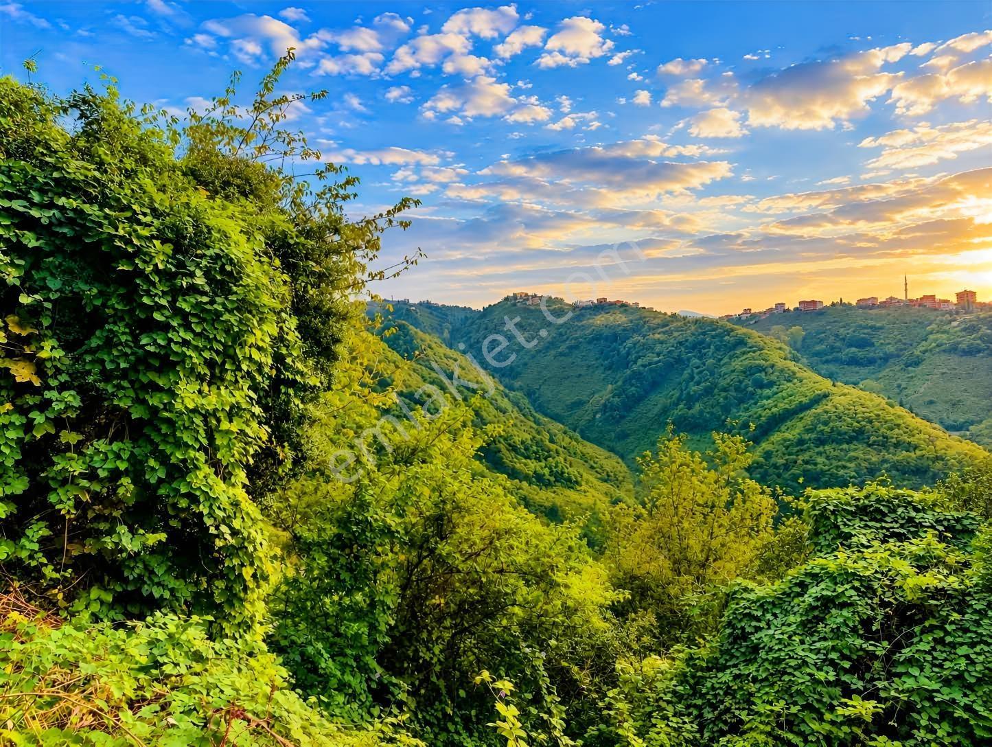 Gw Nova'dan Trabzon Bulak Mahallesinde Yatırım Fırsatı — fotoğraf 8