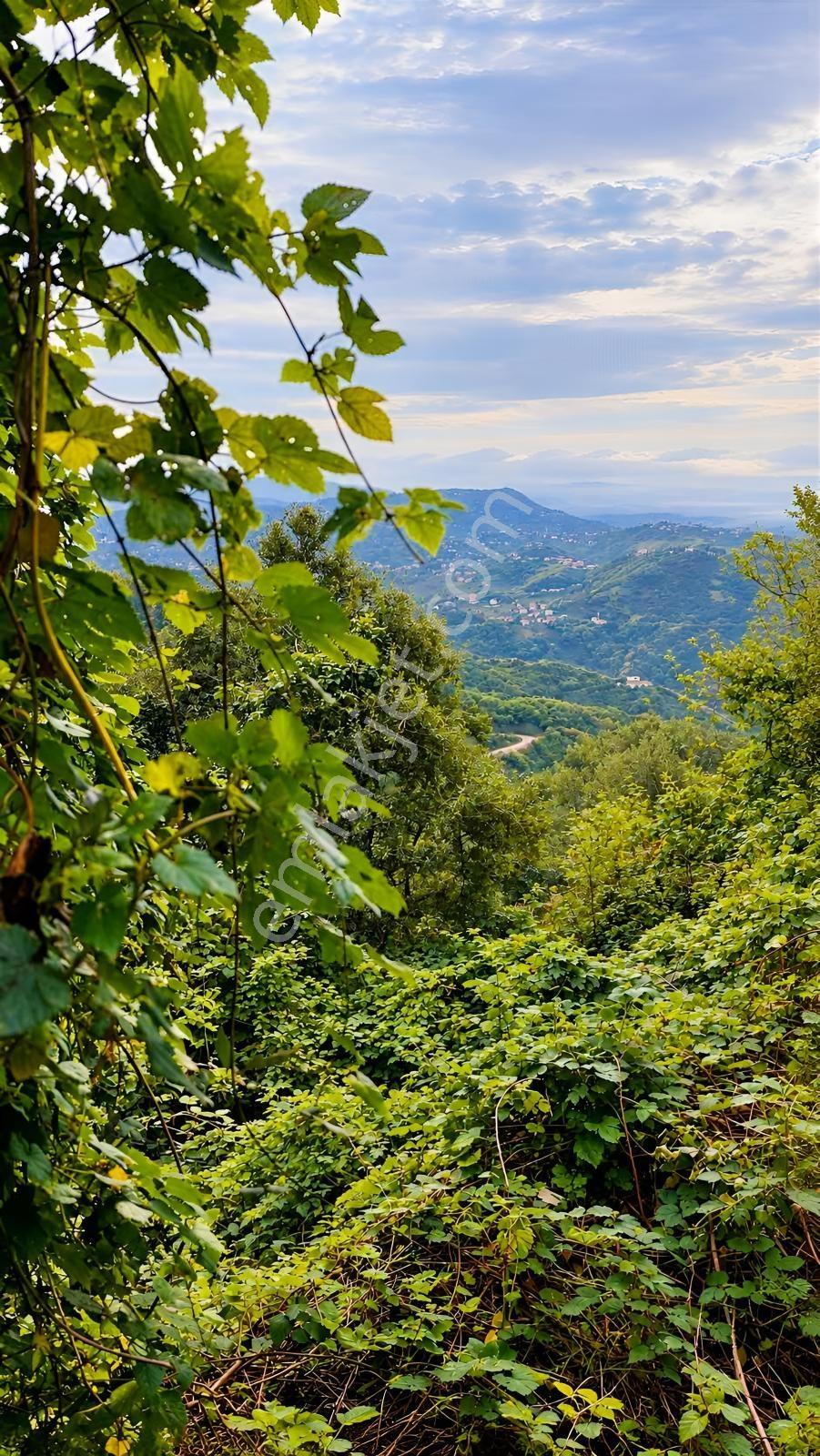 Gw Nova'dan Trabzon Bulak Mahallesinde Yatırım Fırsatı — fotoğraf 10