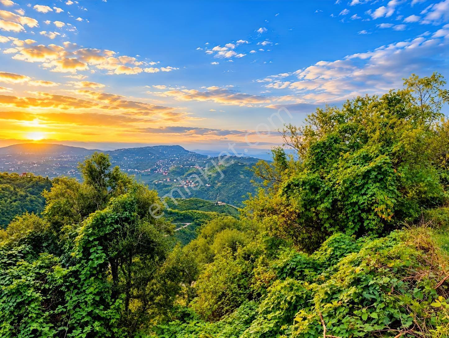 Gw Nova'dan Trabzon Bulak Mahallesinde Yatırım Fırsatı — fotoğraf 12