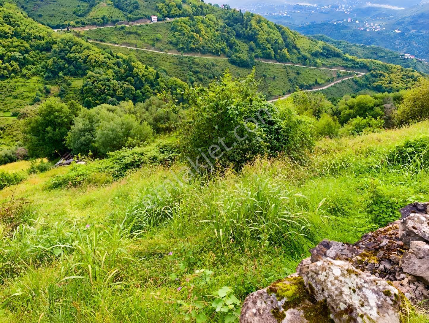 Gw Nova'dan Trabzon Bulak Mahallesinde Yatırım Fırsatı — fotoğraf 14