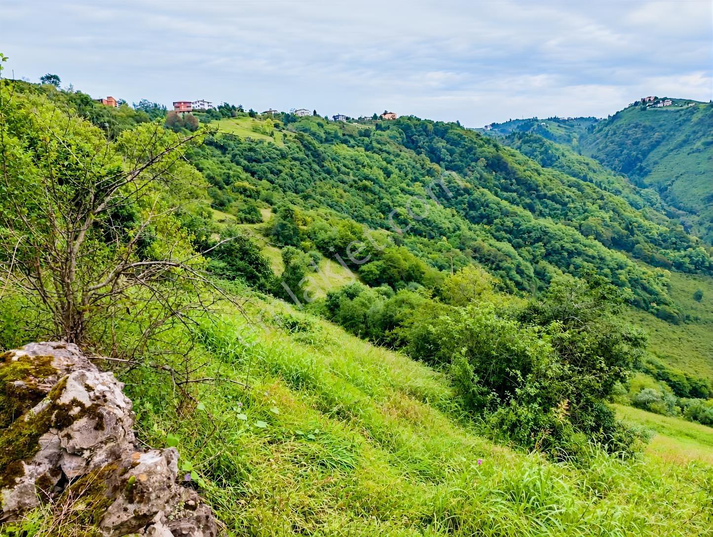 Gw Nova'dan Trabzon Bulak Mahallesinde Yatırım Fırsatı — fotoğraf 16