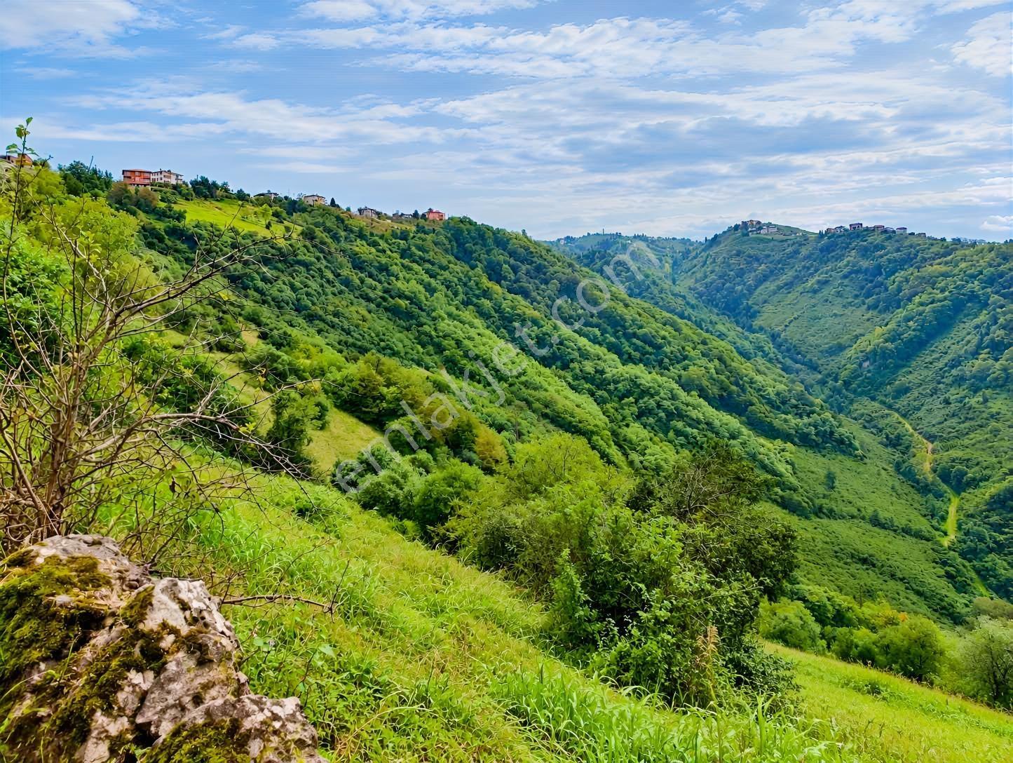 Gw Nova'dan Trabzon Bulak Mahallesinde Yatırım Fırsatı — fotoğraf 17
