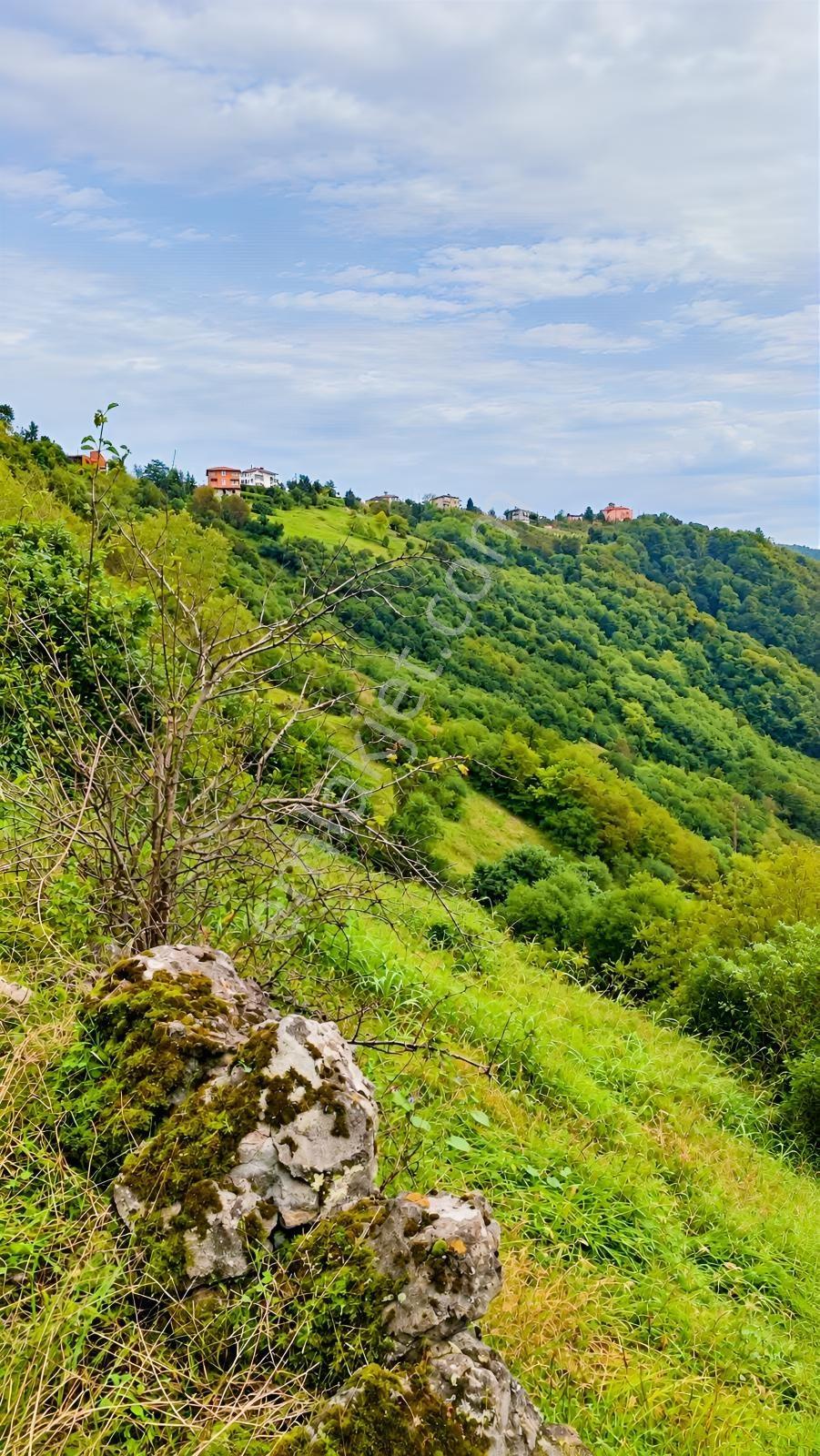 Gw Nova'dan Trabzon Bulak Mahallesinde Yatırım Fırsatı — fotoğraf 18