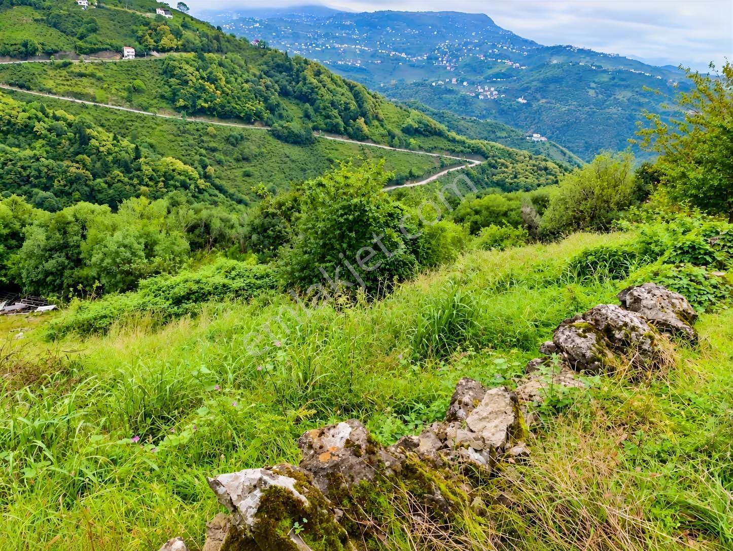 Gw Nova'dan Trabzon Bulak Mahallesinde Yatırım Fırsatı — fotoğraf 19