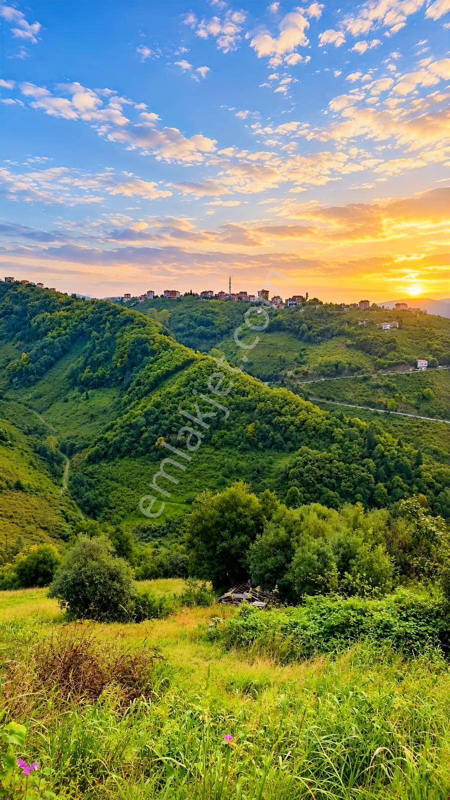 Gw Nova'dan Trabzon Bulak Mahallesinde Yatırım Fırsatı — fotoğraf 20