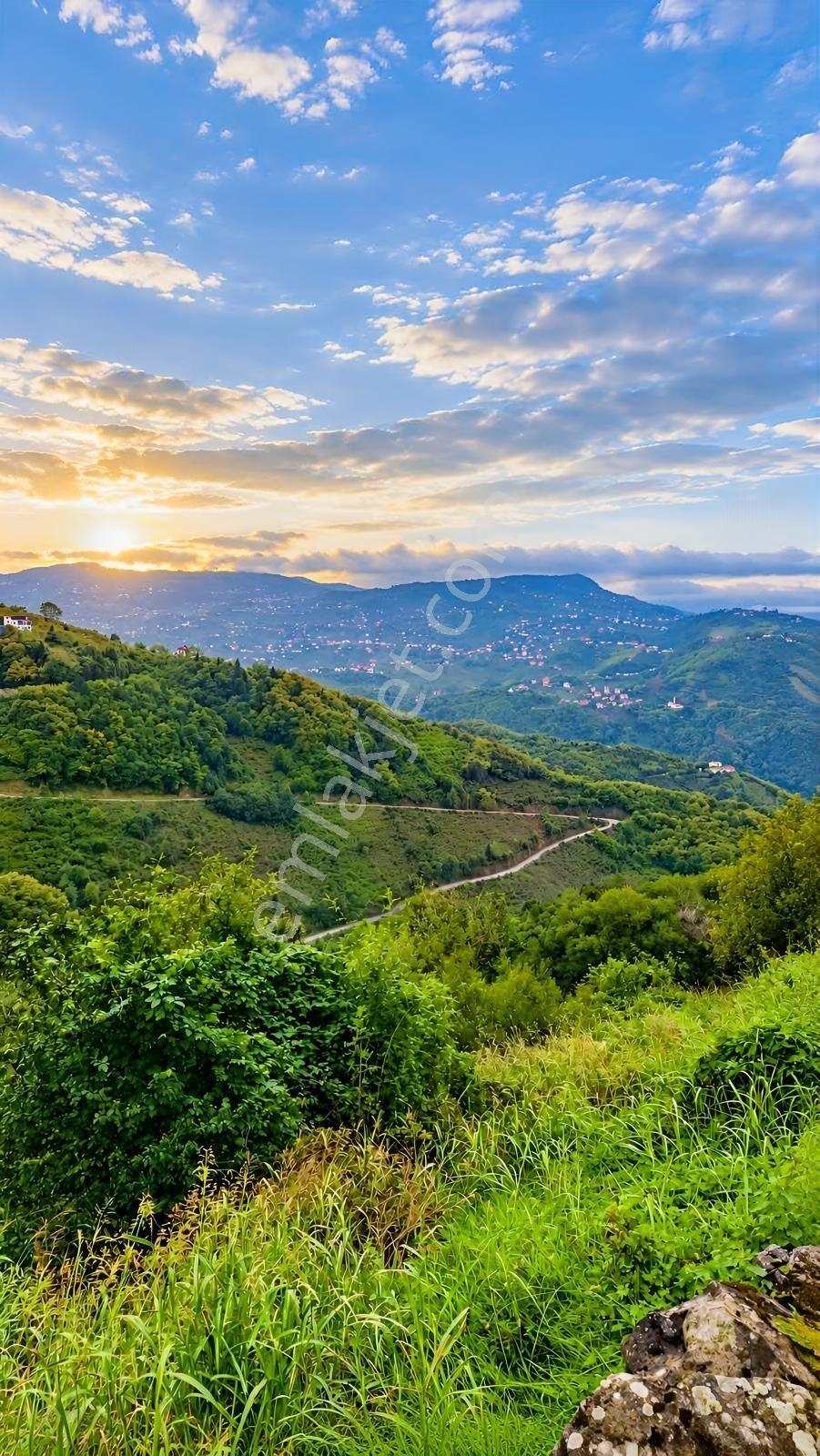 Gw Nova'dan Trabzon Bulak Mahallesinde Yatırım Fırsatı — fotoğraf 21