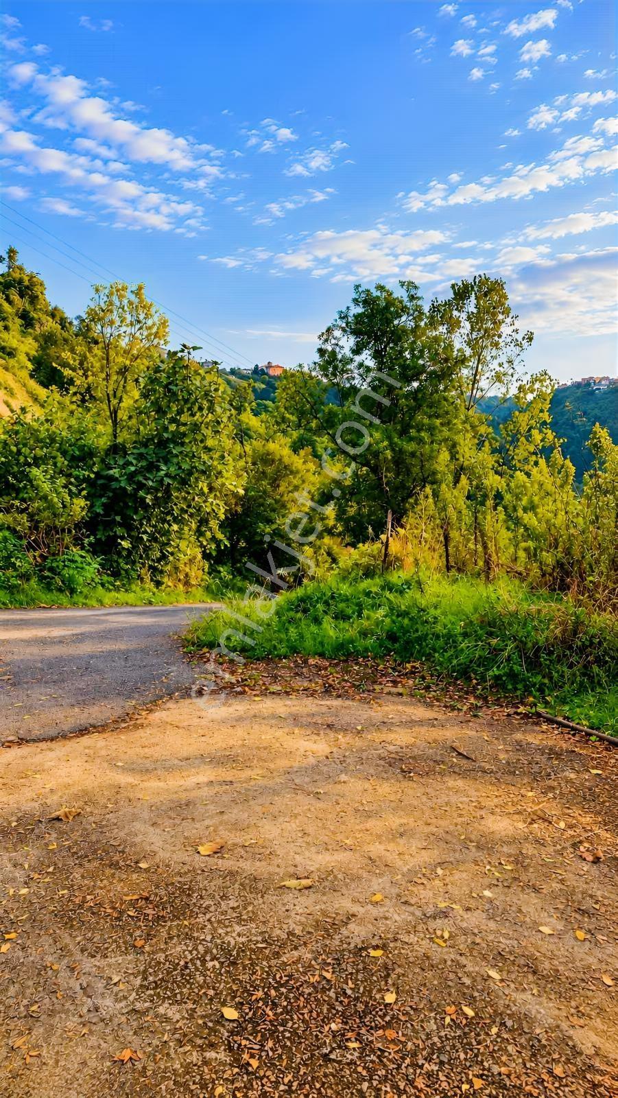 Gw Nova'dan Trabzon Bulak Mahallesinde Yatırım Fırsatı — fotoğraf 24
