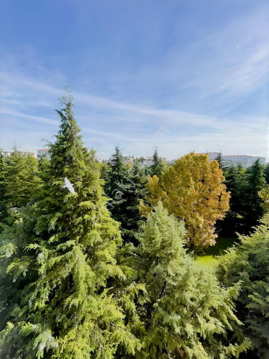 Efor Emlaktan Kusburnu Sitesinde 3+1 Satılık Daire — fotoğraf 11