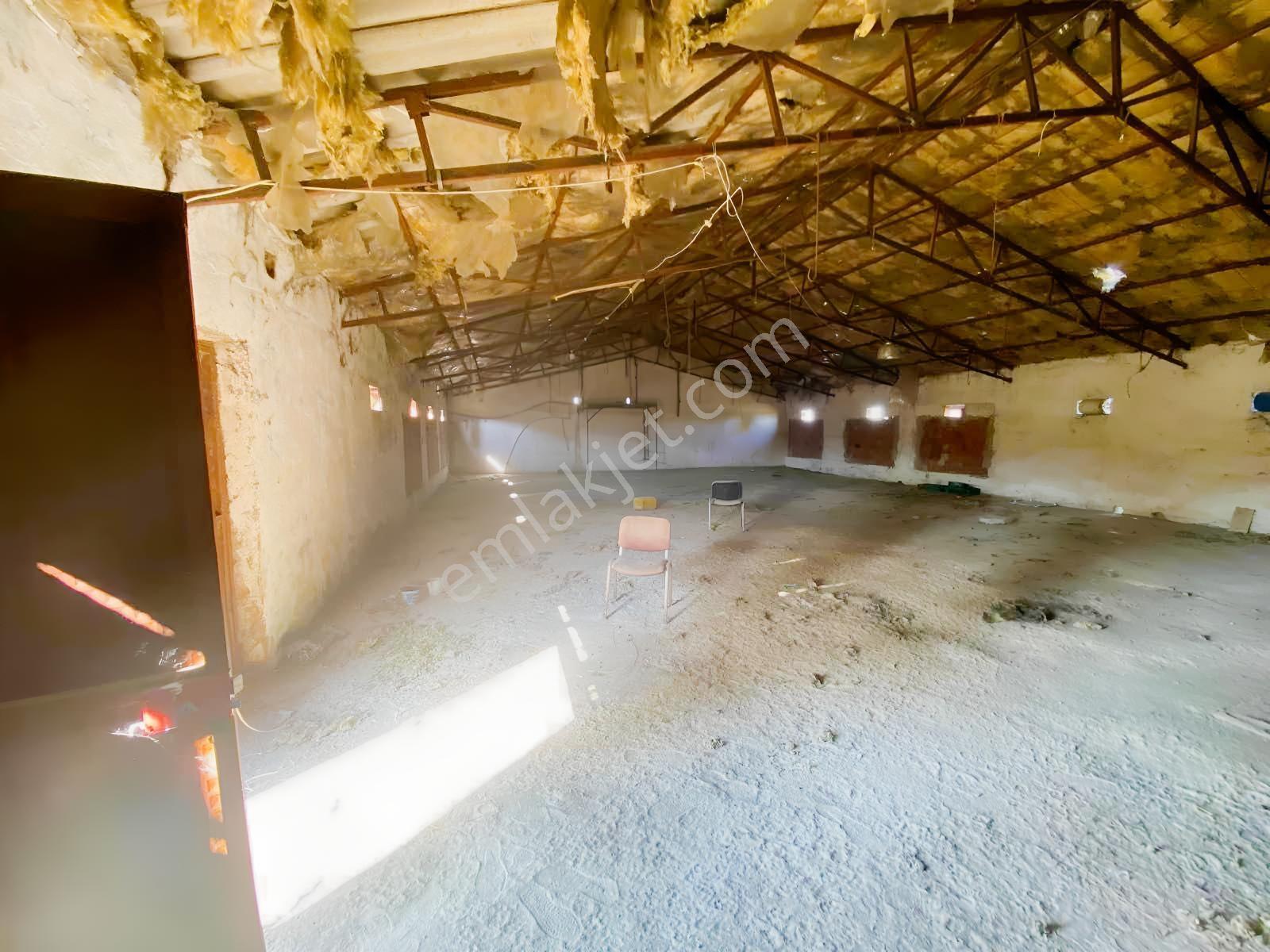Mir'den Gökçeyazıda İçinde Avlulu Ahır Ev Olan Satılık Çiftlik — fotoğraf 15