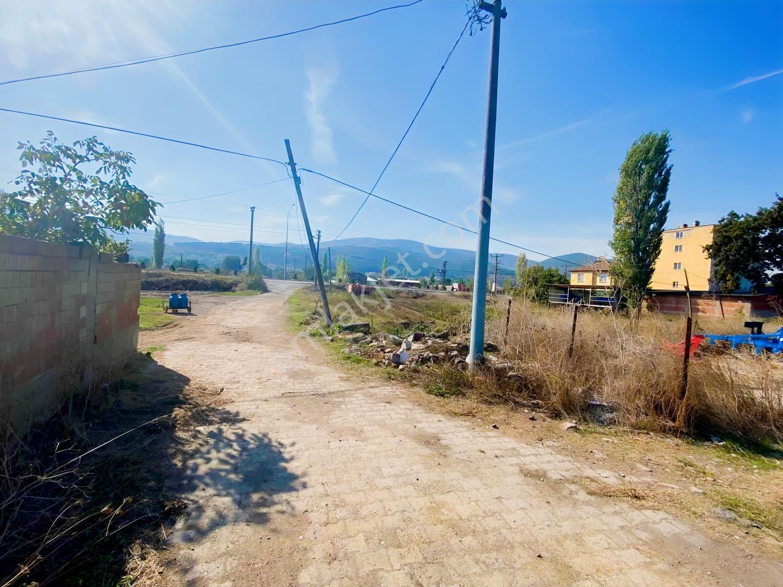 Mir'den Gökçeyazıda İçinde Avlulu Ahır Ev Olan Satılık Çiftlik — fotoğraf 20