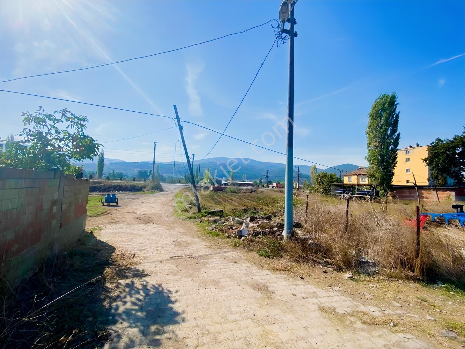 Mir'den Gökçeyazıda İçinde Avlulu Ahır Ev Olan Satılık Çiftlik — fotoğraf 21
