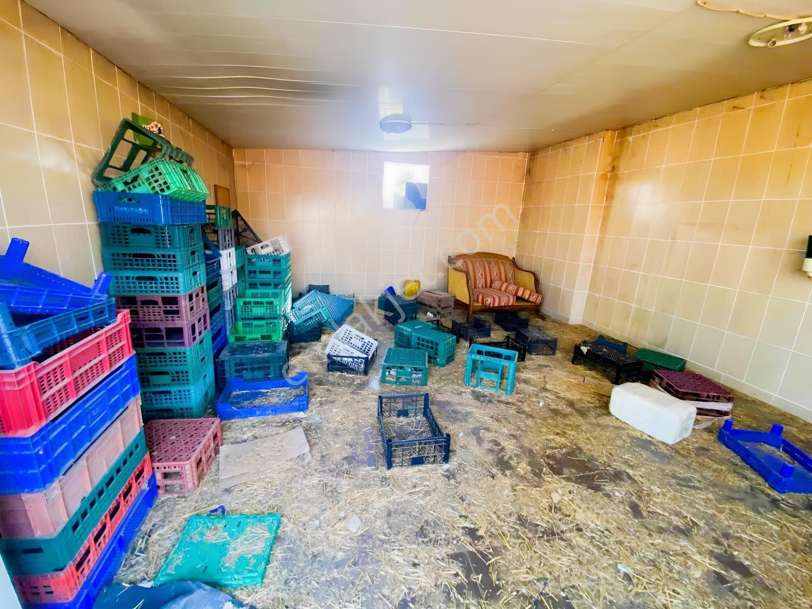 Mir'den Gökçeyazıda İçinde Avlulu Ahır Ev Olan Satılık Çiftlik — fotoğraf 23