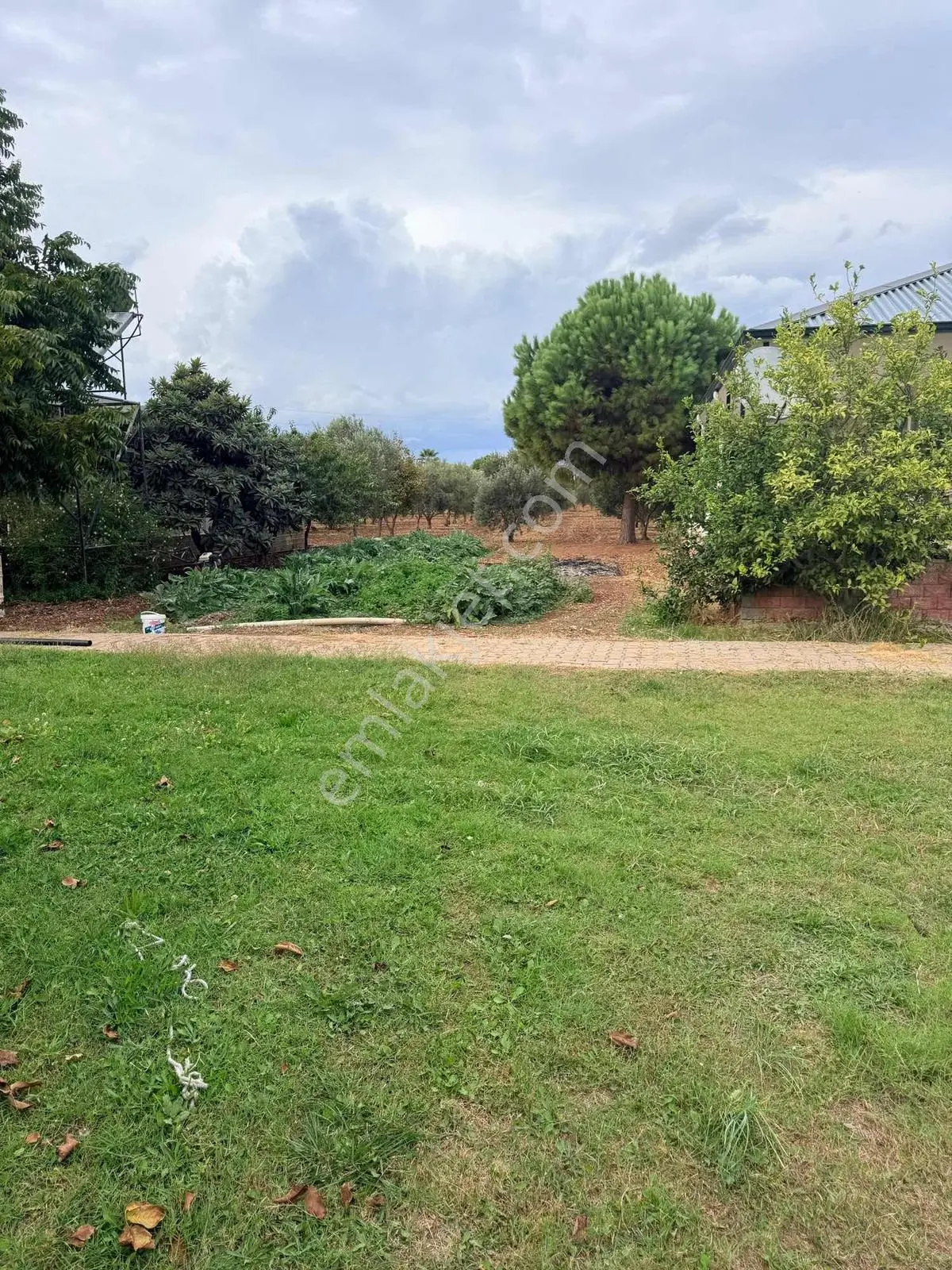 Urla İçmelerde Doğayla İç İçe, Artezyenli & 2750m2 Bahçeli Villa — fotoğraf 5
